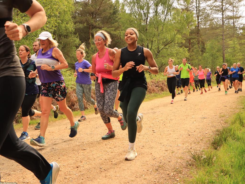 សារៈសំខាន់នៃព័ត៌មានប្រកួតសម្រាប់អ្នកគាំទ្រ