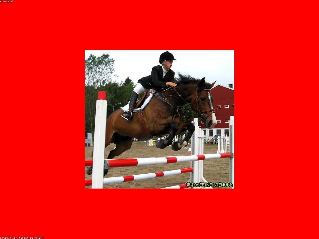 ព័ត៌មានប្រកួត: ការពិពណ៌នាពីព្រឹត្តិការណ៍កីឡានៅកម្ពុជា